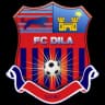 FC Dila Gori logo
