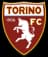 Torino logo