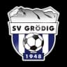 SV Grodig logo