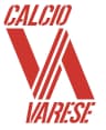 Varese logo