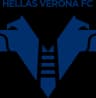 Verona logo