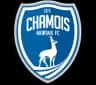 Niort logo