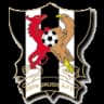 Cefn Druids AFC logo