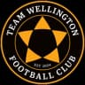 Team Wellington FC logo