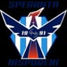 Speranta Nisporeni logo