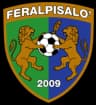 Feralpisalo logo