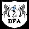 Botswana logo