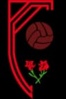 Atletico Antoniano logo