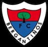 Bergantinos logo
