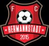 FC Hermannstadt logo