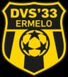 DVS 33 logo