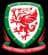 Wales logo