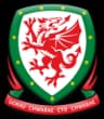 Wales logo