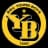 Young Boys logo