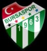 Bursaspor logo