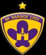 NK Maribor logo