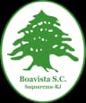 Boavista SC logo