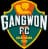 Gangwon FC logo