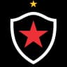 Botafogo PB logo