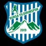 Bursa Yildirimspor logo