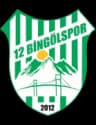 12 Bingol Spor logo