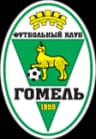 FC Gomel logo