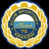 Hutnik Krakow logo