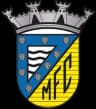 Mortagua FC logo