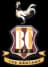 Bradford City logo