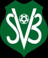 Suriname logo