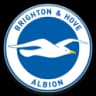 Brighton & Hove Albion logo