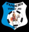 Pandurii Targu Jiu logo