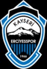 Kayseri Erciyesspor logo