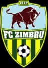 Zimbru Chisinau logo
