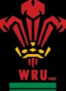 Wales logo