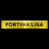 Czech First League crest