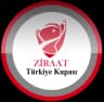 Turkish Cup logo