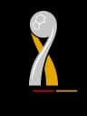 German Super Cup logo