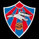 Valur Reykjavik logo