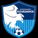 BB Erzurumspor logo
