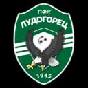 Ludogorets logo