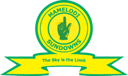 Mamelodi Sundowns crest