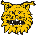 Ilves crest