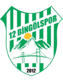 Klublogo for 12 Bingol Spor