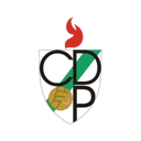 CD Pamplona crest
