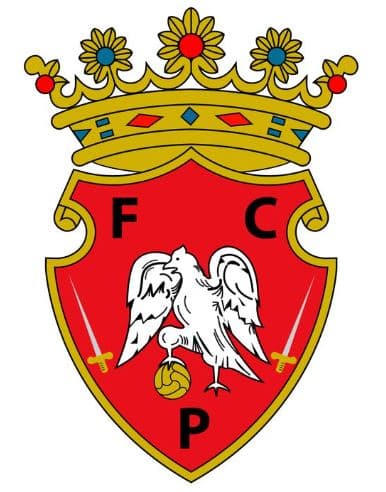 FC Penafiel football match atmosphere