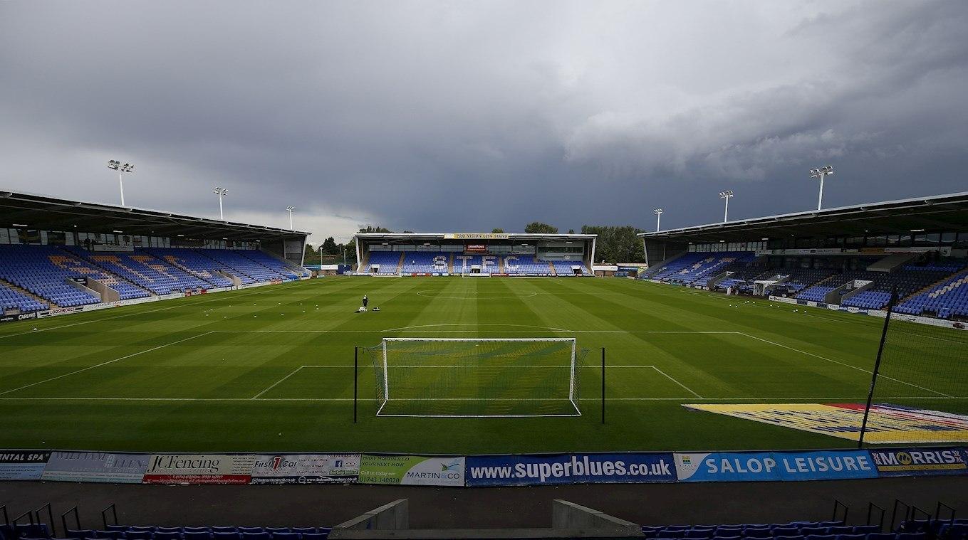 New Meadow stadium