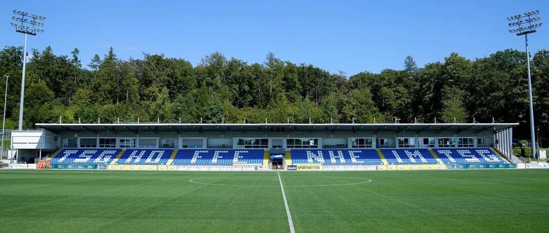 Dietmar-Hopp Stadium stadium