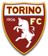Torino logo