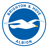 Brighton & Hove Albion (Women) logo